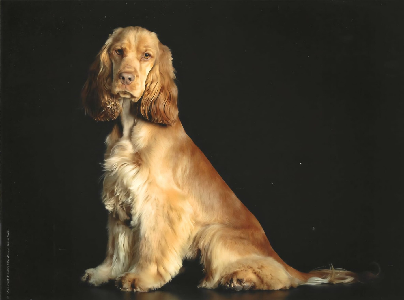 Vegas Du Domaine De La Verrinette