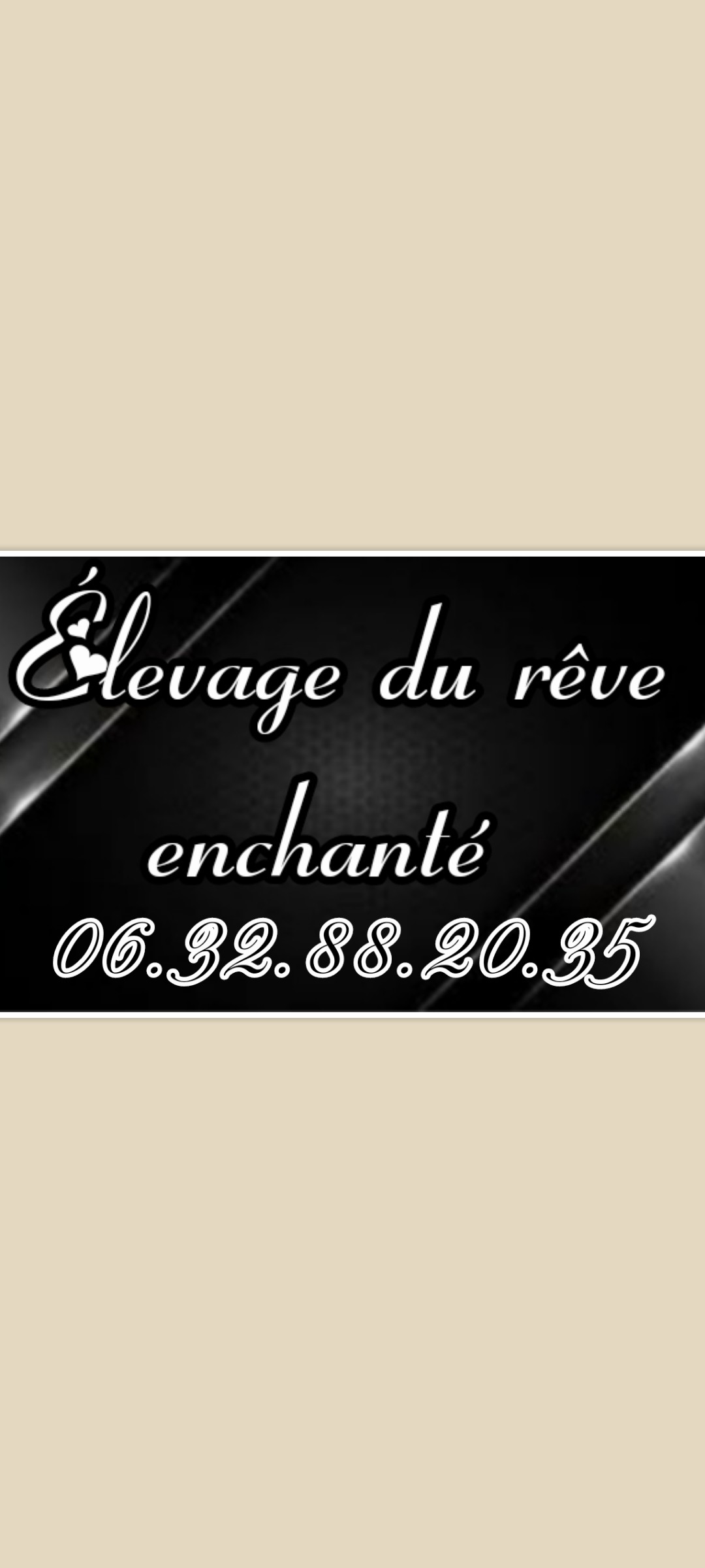 Du Domaine De Rêve Enchanté